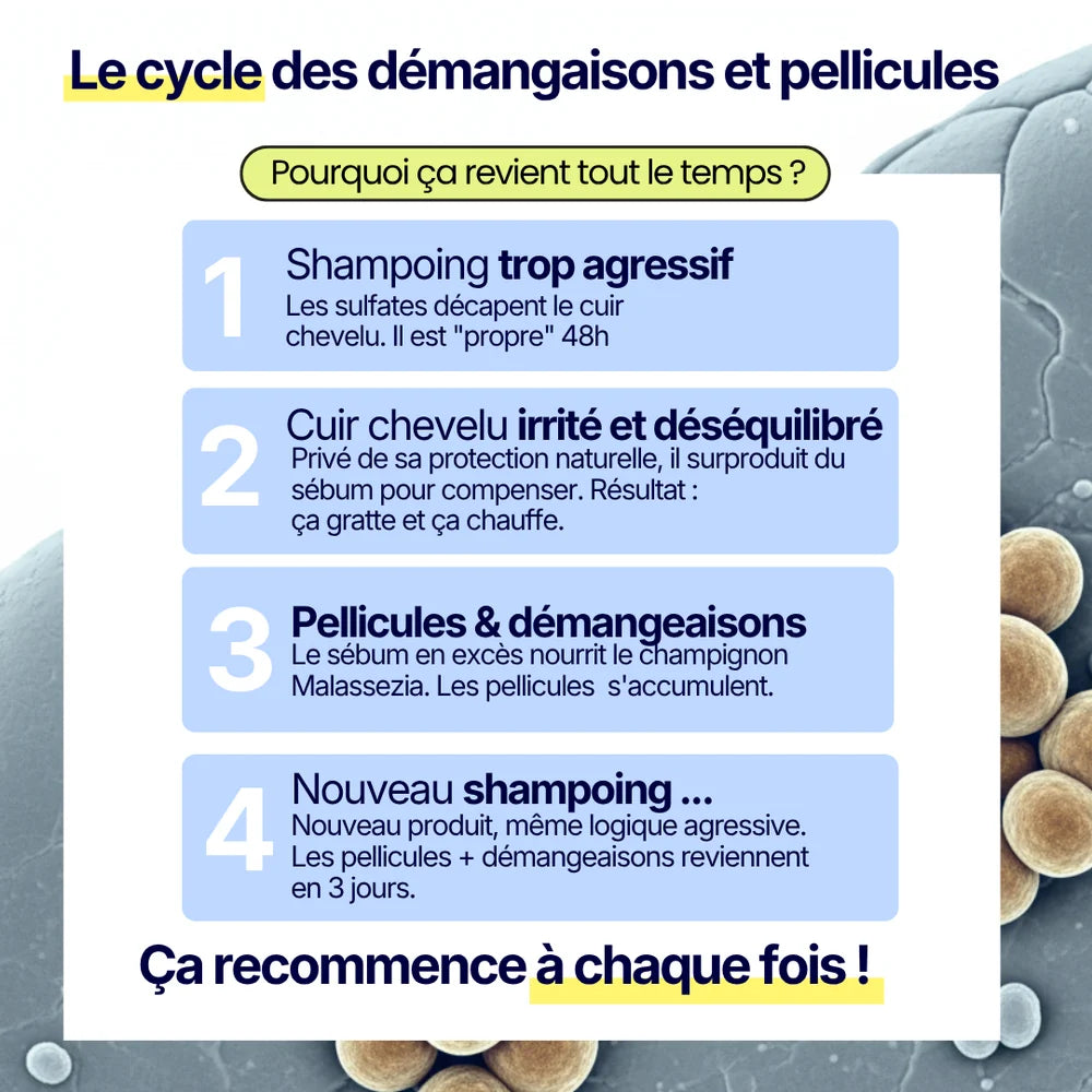 Shampoing solide anti-pelliculaire · apaisant & doux